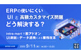 『ERPの使いにくいUIと高額カスタマイズ問題、どう解決する?』というテーマのウェビナーを開催
