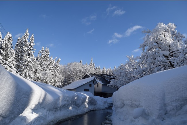 毎年12月−3月は雪に覆われる津南醸造