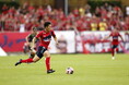 【いわきFC】杉山伶央 選手 契約満了のお知らせ