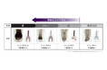 美白研究で培ったメラニン制御技術をヘアケアに応用「ブラックキノン」を発見