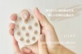 【LILAYシリーズ新商品】独自の形状で毎日のシャンプーをもっと楽しく心地よく。「オーバルシャンプーブラシ」が新発売。