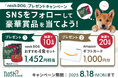 夏のごはんタイムを応援!「nosh DOGおすすめ4食セット」または「Amazonギフトカード1,000円分」が当たるプレゼントキャンペーンを開催