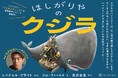 ベストセラー『ライオンのこころ』の動物絵本シリーズ、第4弾! 俳優・宮沢氷魚さんが翻訳を担当『ほしがりやのクジラ』3月27日(木)発売