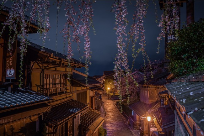 清水寺・産寧坂の夜桜（イメージ）