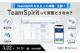 【5/22(木)体験型オフラインイベント】TeamSpiritって実際どうなの?