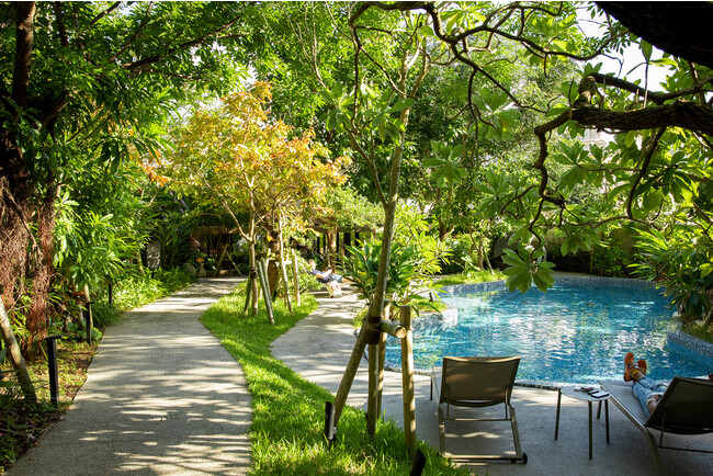 緑あふれる中庭 緑あふれる中庭