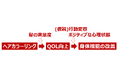 ホーユー、「髪と心の相関」調査第2弾ヘアカラーリングによる生活の質向上および身体機能改善効果を解明