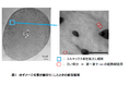 複合ダメージの核心に迫る新知見 毛髪内「超微細空洞」の発見と「水分」に着目した 新補修技術を確立