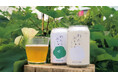 【ブランド初】オーガニックコットンの「プリスティン」がクラフトビールを発売！　国産綿の花酵母で醸す「わたのぶりゅ〜」 ホワイト＆グリーンの2種が新登場