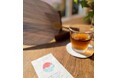 厳しい夏を快適に過ごすためのご提案　プリスティンエイドステーションで「涼」を感じるおもてなし　- 大納涼祭では、さわるとひんやり、天然素材の接触冷感性のあるインナーをご紹介 -