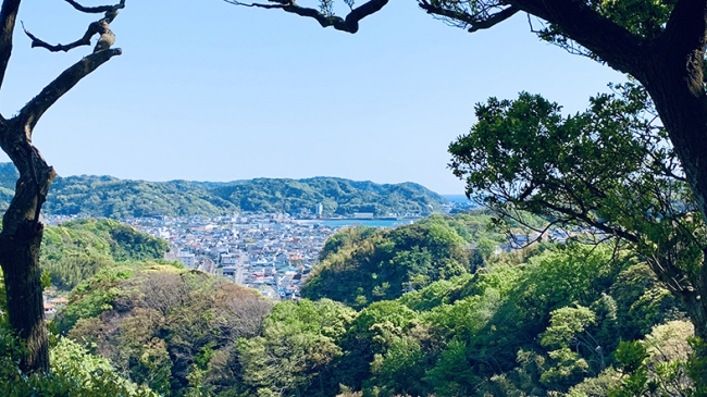 鎌倉にはハイキングコースがたくさんあり、その途中の見晴台や丘の上の公園はかくれたピクニックスポットになっています
