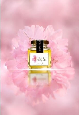 女性養蜂家Erikaが手掛けた日本原産の桜蜂蜜「ＴＨＥ SAKURA」