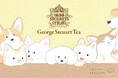 【てらおかなつみ×George Steuart Tea】コラボ紅茶第2弾‼「かわいい×おいしい」ティーバッグセット(ミニシール付き)が新登場です。癒やしのパッケージは必見!