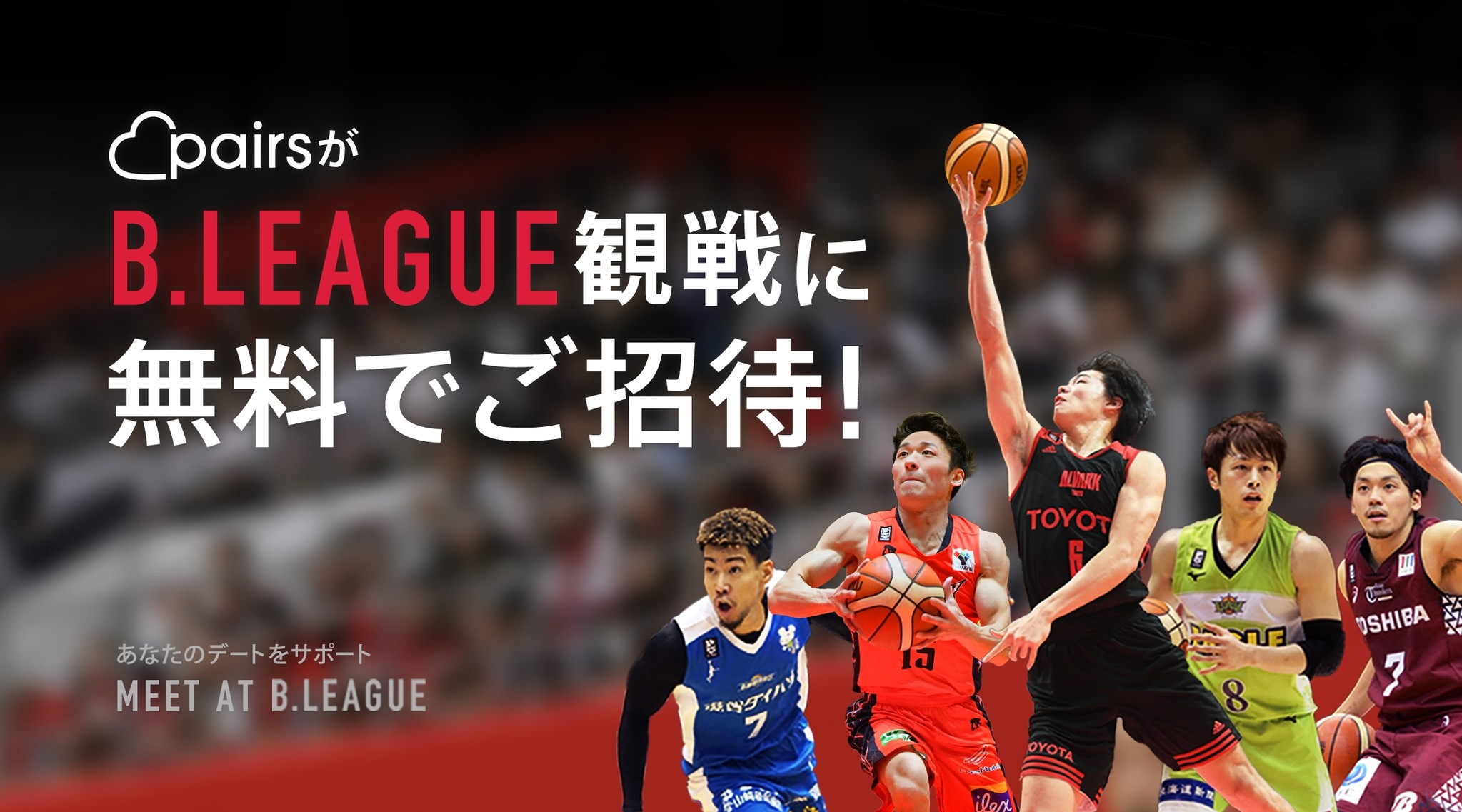 Bリーグ公式球 アルバルク東京プレーヤー7名の直筆サイン入り その他