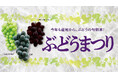 旬のぶどう、食べ比べ！ 紀ノ国屋で「秋の味覚」が大集合。9月12日（土）から「ぶどうまつり」開催。秋の行楽弁当や芋・栗・かぼちゃの限定パンも登場