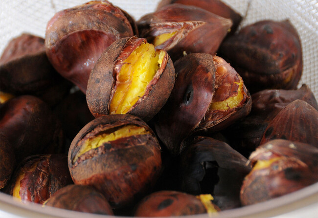 ※イメージ ※イメージ