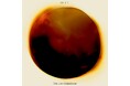 NY発フューチャーソウル・バンドThe Love Experimentが、Pink Sifu、J. Hoard、JSWISS、C-Redが参加するニューアルバム『Velvet』を10月10日にリリース
