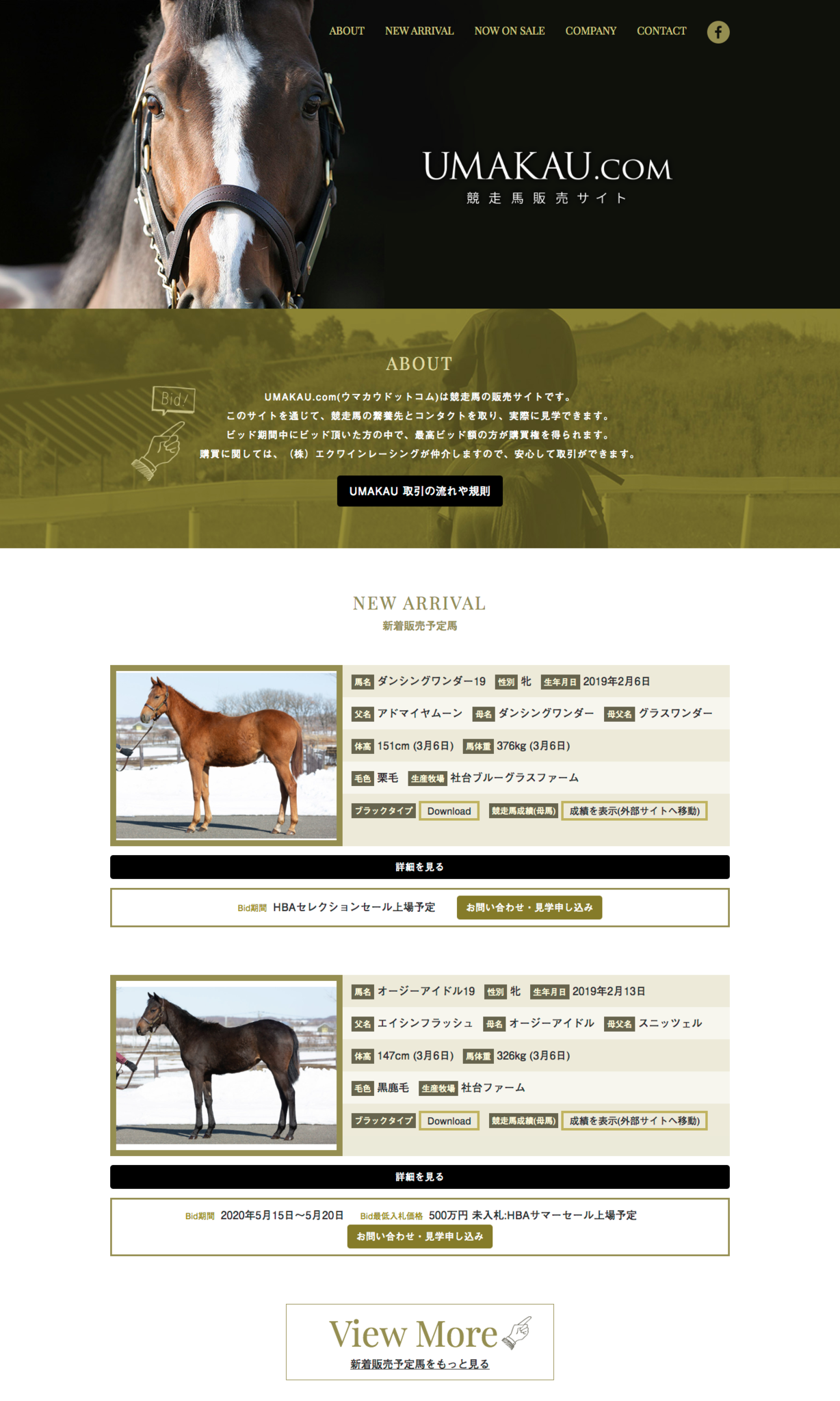 ありそうでなかった安心して競走馬を購入できるオンラインサービス Umakau Com ウマカウドットコム がサービス開始 株式会社エクワインレーシングのプレスリリース