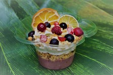 東京サマーランド のドッグパーク わんダフルネイチャーヴィレッジ が４月で5周年 定額制平日会員 月間 ドッグランパスポート を新設 21年4月 22年3月まで 5周年キャンペーンを実施 株式会社東京 サマーランドのプレスリリース