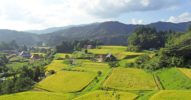 追谷地区の棚田の風景