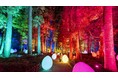 「チームラボ 偕楽園 光の祭」(茨城・水戸)、2022年も開催