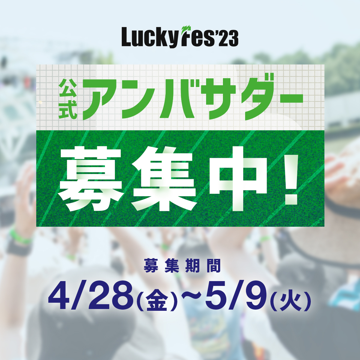 luckyfes 7月13日券◎2枚対応可 音楽フェス