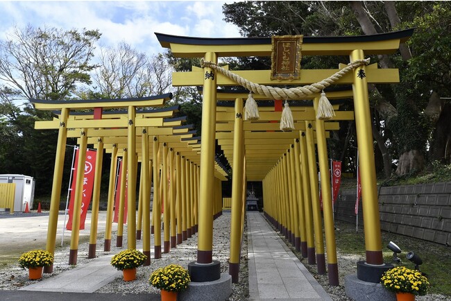 ほしいも神社の様子