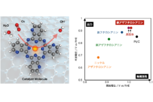 東北大学発スタートアップazul Energy アジュールエナジー がホヤ殻に含まれるセルロースナノファイバーを用いて次世代エネルギーデバイス用高性能触媒を開発 Azul Energy株式会社のプレスリリース