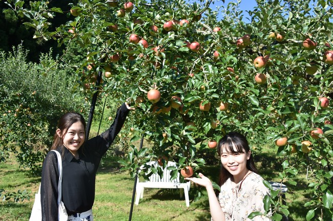 三瀬村でリンゴ狩り