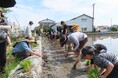 【佐賀市】親子で挑戦！「シギの恩返し米」田植え体験を東よか干潟近くで開催