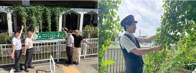 稲城長沼駅高架下にあるくらすクラス広場の植栽帯を活用して 2023 年 3 月よりホップ栽培をスタート