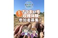 【福井県最北端の道の駅が主催】秋の味覚満喫!「さつまいも収穫体験」開催決定のお知らせ【あわら市】