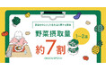 【8月31日 野菜の日】野菜摂取量“1〜2皿”が約7割、18.2%しか続けられない野菜習慣をもっと楽しく