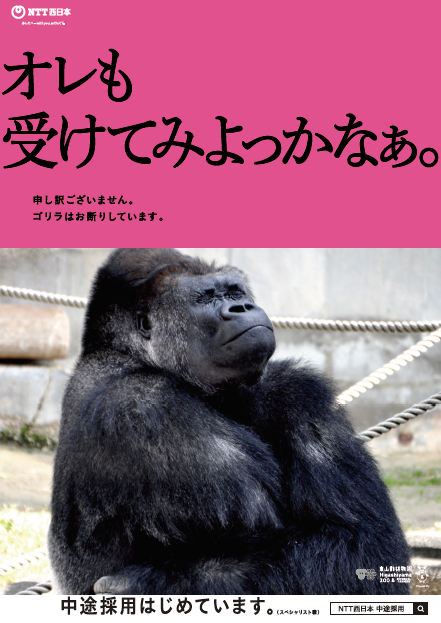 ゴリラが採用エントリー シャバーニと動物たちが名古屋駅で転職活動を開始 3月23日 月 より地下鉄名古屋駅にて アニマル採用 広告を掲出 西日本電信電話株式会社のプレスリリース