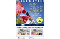 「佐賀のごほうび定期預金第3弾」全国で受付開始！