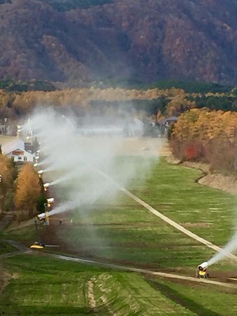 昨年のテスト風景