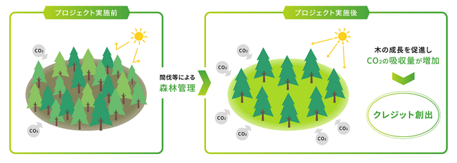  森林経営活動に基づくクレジット創出イメージ