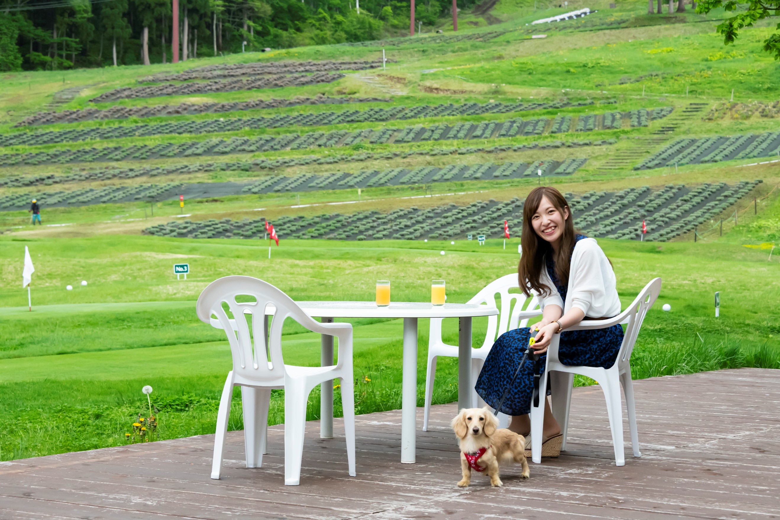 愛犬と楽しめる信州のリゾート ホテルタングラム 新しく設置の わんわんランチテラス で愛犬と過ごす夏休み 東急リゾーツ ステイ株式会社のプレスリリース