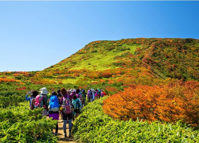 山燃ゆる秋到来 秋の那須高原が紅葉の見頃を迎える：時事ドットコム