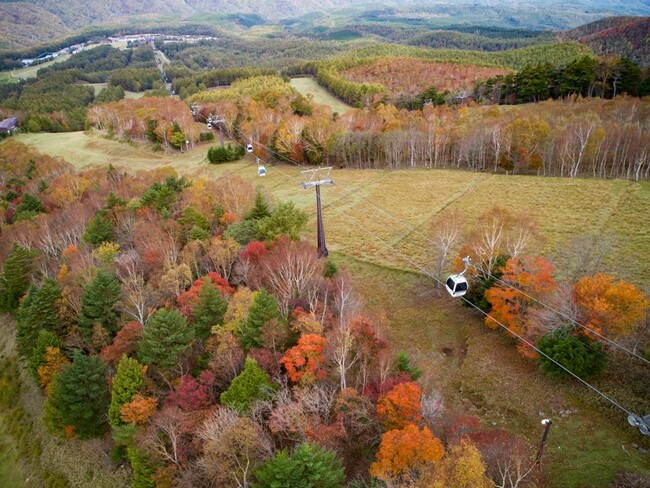 山々が鮮やかに色づく紅葉シーズン