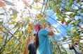 蓼科エリアの 8 月平均気温は 25.7℃以下 東急リゾートタウン蓼科「夏の限定イベント」開催