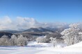 【たんばらスキーパーク】雪上でココロとカラダの成長を育む活動 バディスポーツ幼児園スプリングスキーキャンプを受入れ