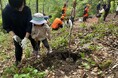 東急リゾートタウン蓼科で “ 蓼科の森 ” を作ろう「植樹体験イベント」 7 月 27 日(日)開催