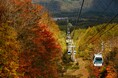 2025 年 10 月 11 日運行開始！　標高 1,643 ｍまで約 10 分　『紅葉ハンターゴンドラ』秋の絶景や空中散歩を満喫
