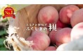 SNSで話題沸騰『福島の桃、デリシャス』。福島っ子の誇り『美味しい桃』の事前予約受付を今年も実施します‼