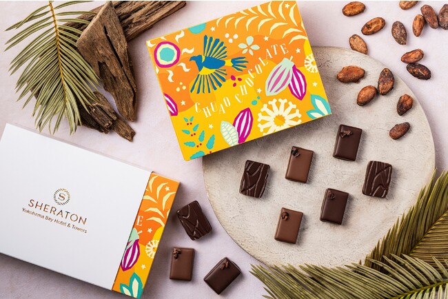 高品質なベネズエラ産“チュアオ”を使用したボンボンショコラ 高品質なベネズエラ産“チュアオ”を使用したボンボンショコラ