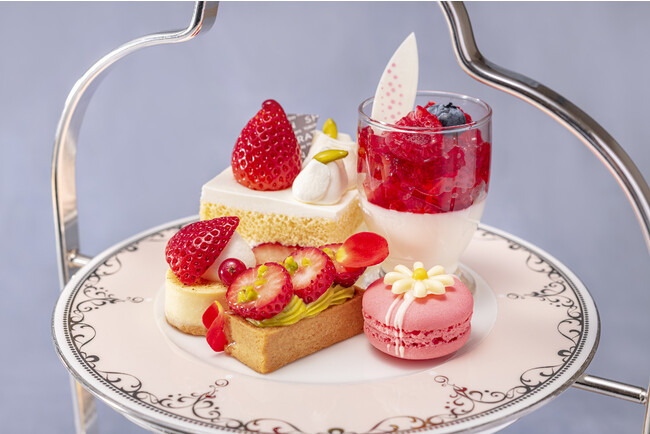 彩りも華やかな苺のスイーツ 彩りも華やかな苺のスイーツ