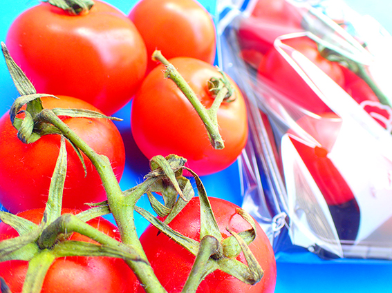横浜市内契約農家にて栽培される旬の彩り野菜 横浜市内契約農家にて栽培される旬の彩り野菜
