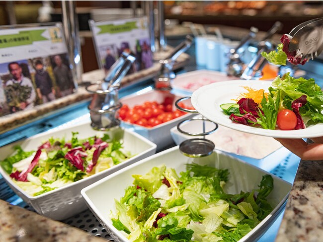 環境にやさしい良品栽培 地元神奈川の新鮮野菜 環境にやさしい良品栽培 地元神奈川の新鮮野菜