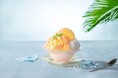 【News Letter】猛暑が続く今夏、横浜のオアシスで“涼”を感じる夏のひとときを　「フレッシュドリンク＆ひんやりかき氷」や「ビアパーティー」など夏限定の涼しげなメニューが続々登場！